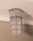 Vapor Ceiling/Wall Mount Flood Light - From Where -