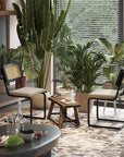 Velvet Upholstered Side Chair (Set of 2) - From Where -