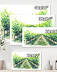 Vineyard Path Canvas Art - From Where -