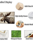 Vintage Moose Canvas Wall Art - From Where -