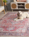 Vintage Serapi Washable Rug - From Where -