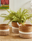 Weside Seagrass Basket - From Where -