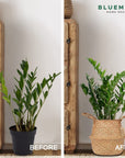 Wicker Seagrass Planter - From Where -