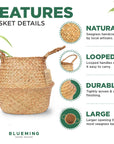 Wicker Seagrass Planter - From Where -