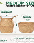 Wicker Seagrass Planter - From Where -