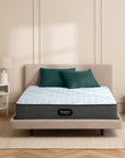 World Class Level 4 Plush 15.25" Mattress - From Where Finds -