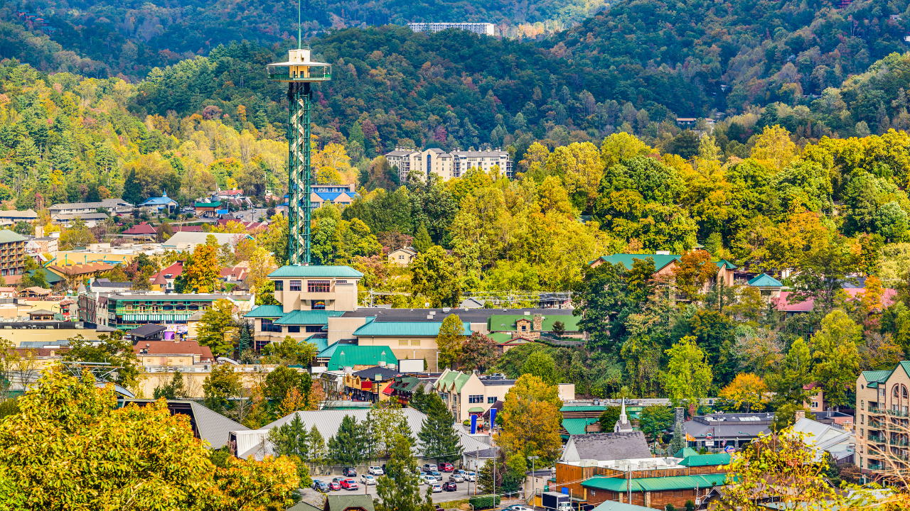 The Best Interior Designers of Gatlinburg, TN - From Where Finds