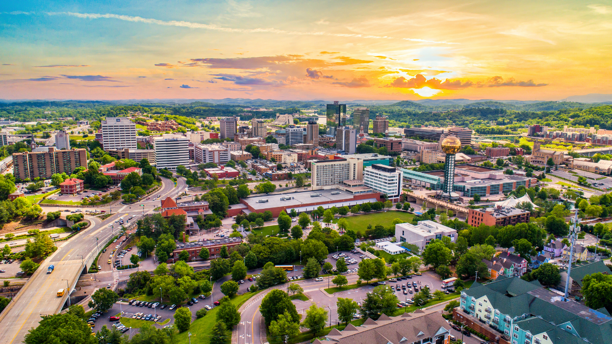 The Best Interior Designers of Knoxville, TN - From Where Finds
