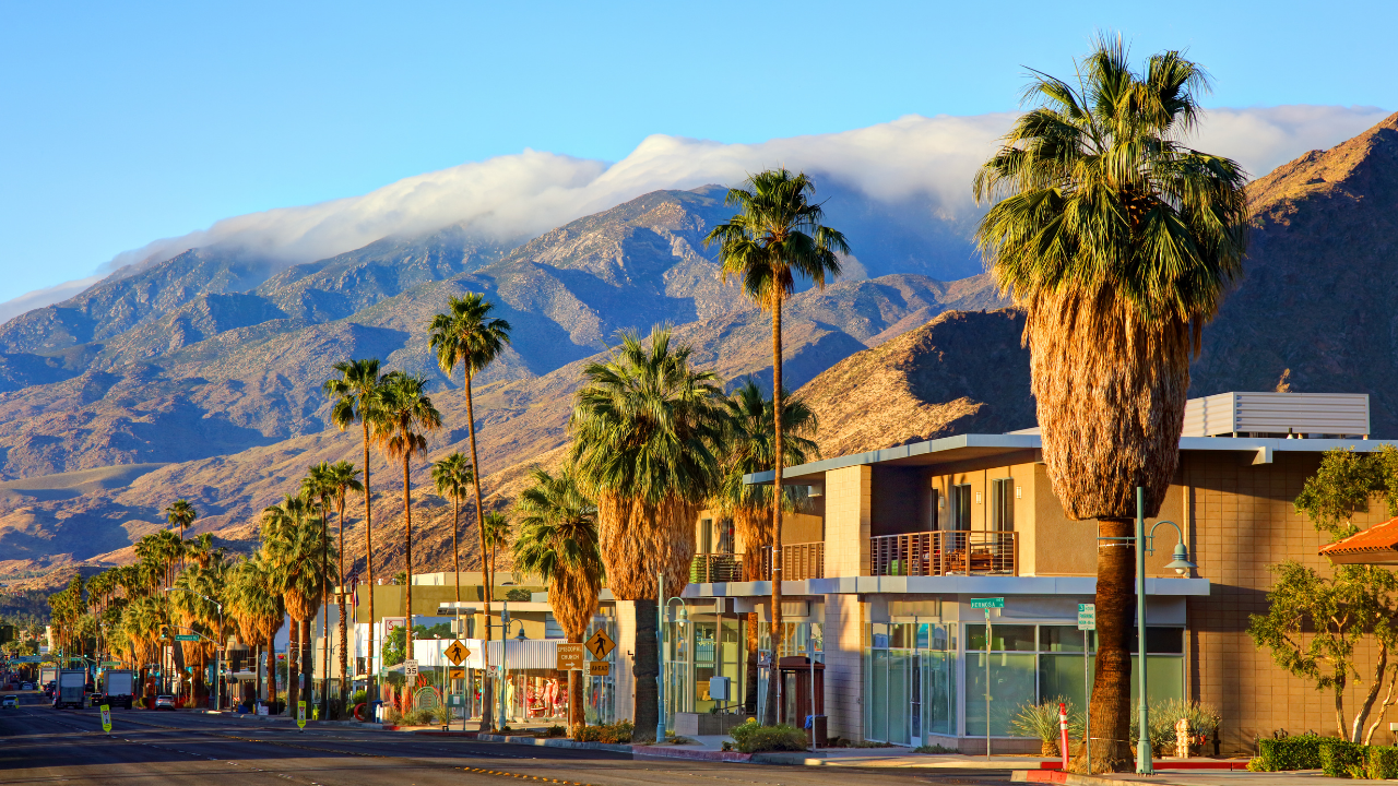 The Best Interior Designers of Palm Springs, CA - From Where Finds
