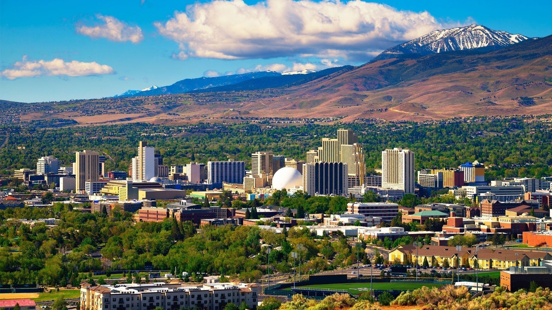 The Best Interior Designers of Reno/Tahoe, NV - From Where Finds