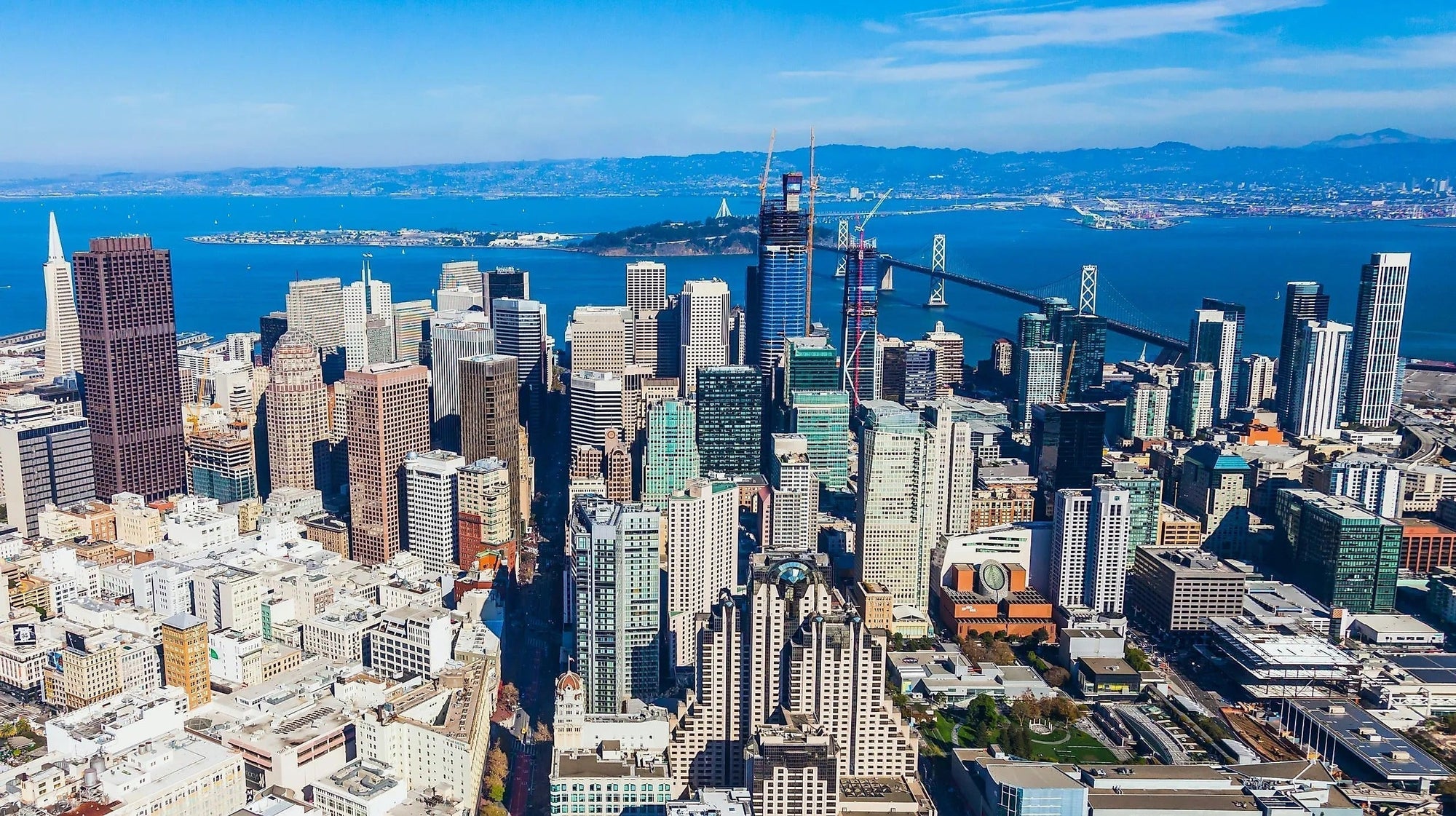 The Best Interior Designers of San Francisco, CA - From Where Finds