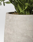 14" Privet Artificial Plant - From Where - 