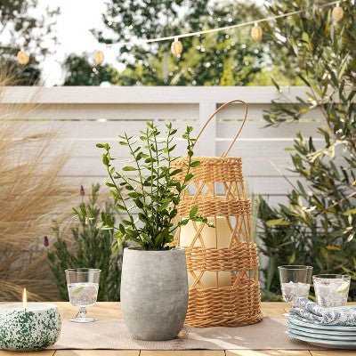 14" Privet Artificial Plant - From Where - 