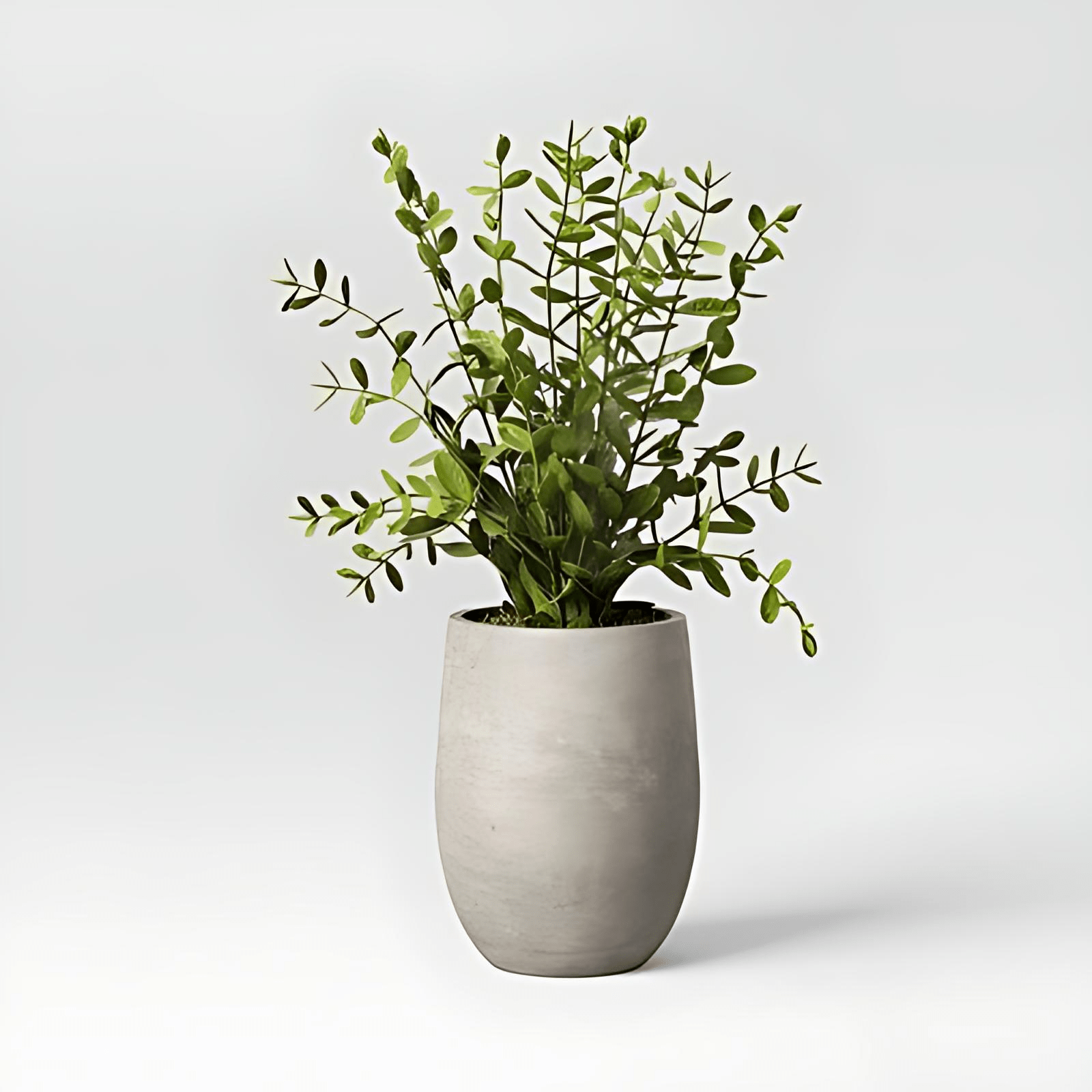 14" Privet Artificial Plant - From Where - 