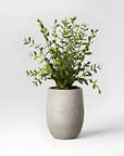 14" Privet Artificial Plant - From Where - 