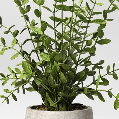 14" Privet Artificial Plant - From Where - 