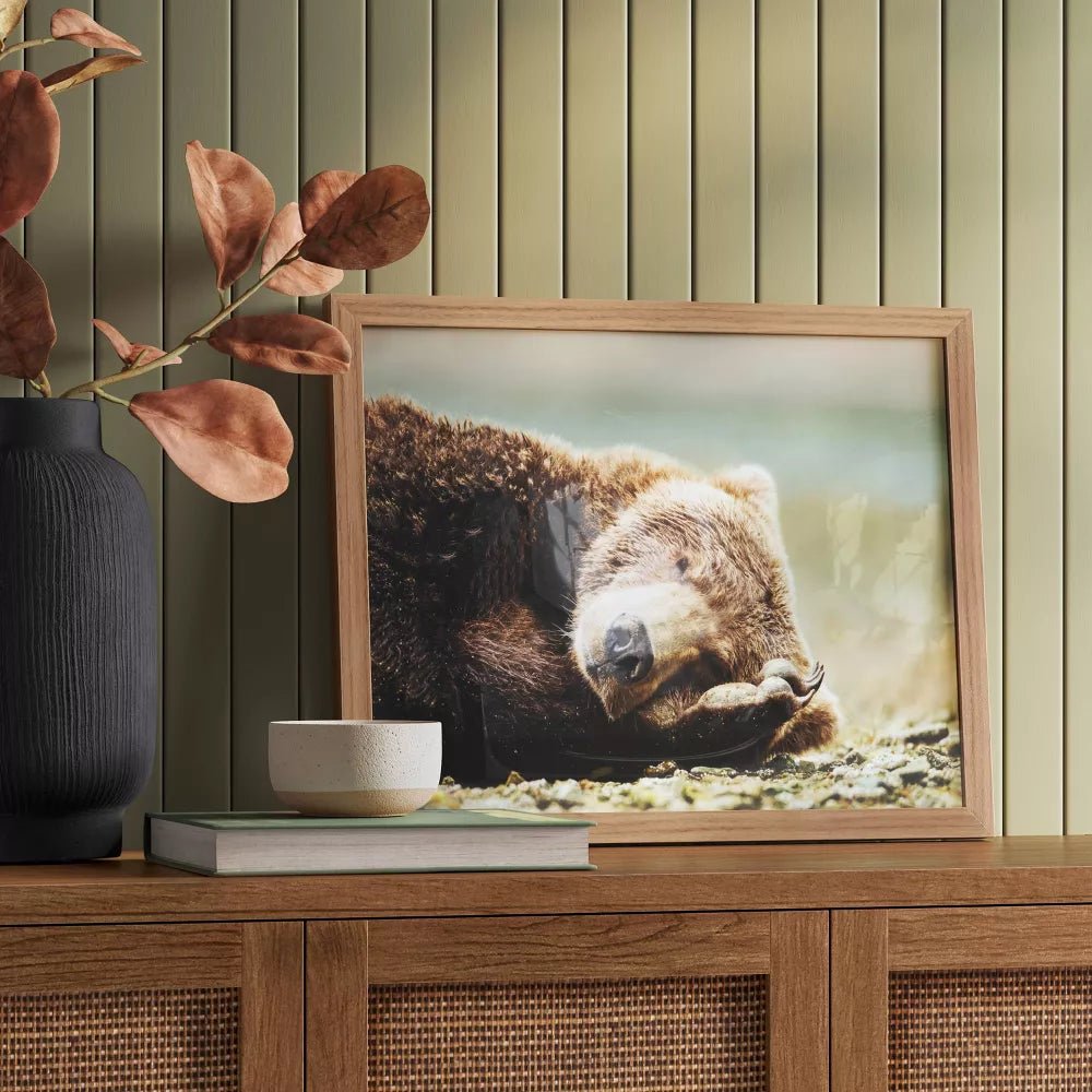 20" x 16" Bear Photography Framed Art - From Where - 