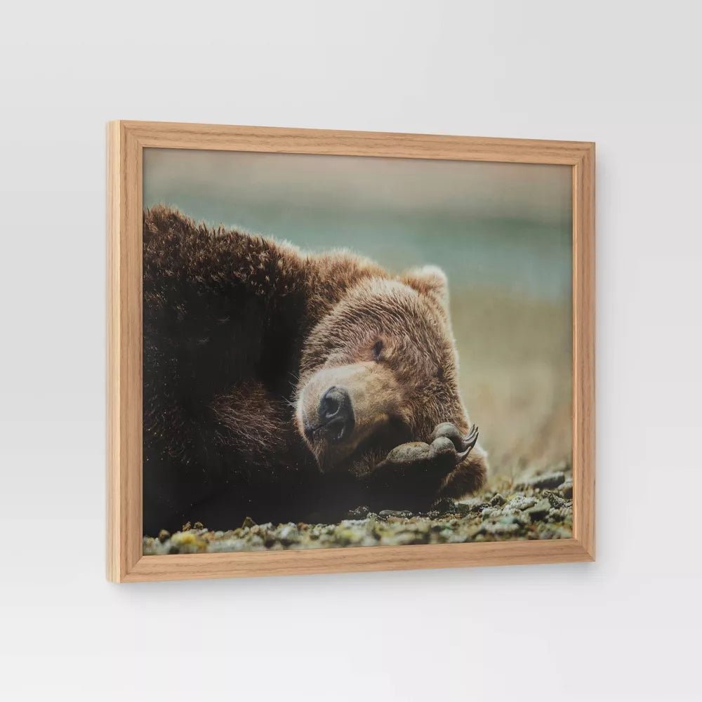 20" x 16" Bear Photography Framed Art - From Where - 