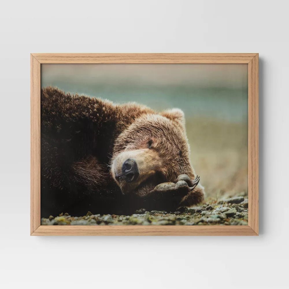 20" x 16" Bear Photography Framed Art - From Where - 
