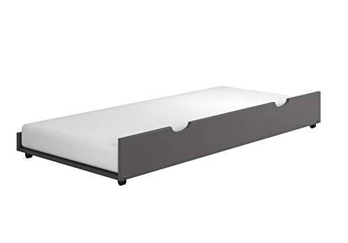 Twin Over Full Bunkbed with Trundle