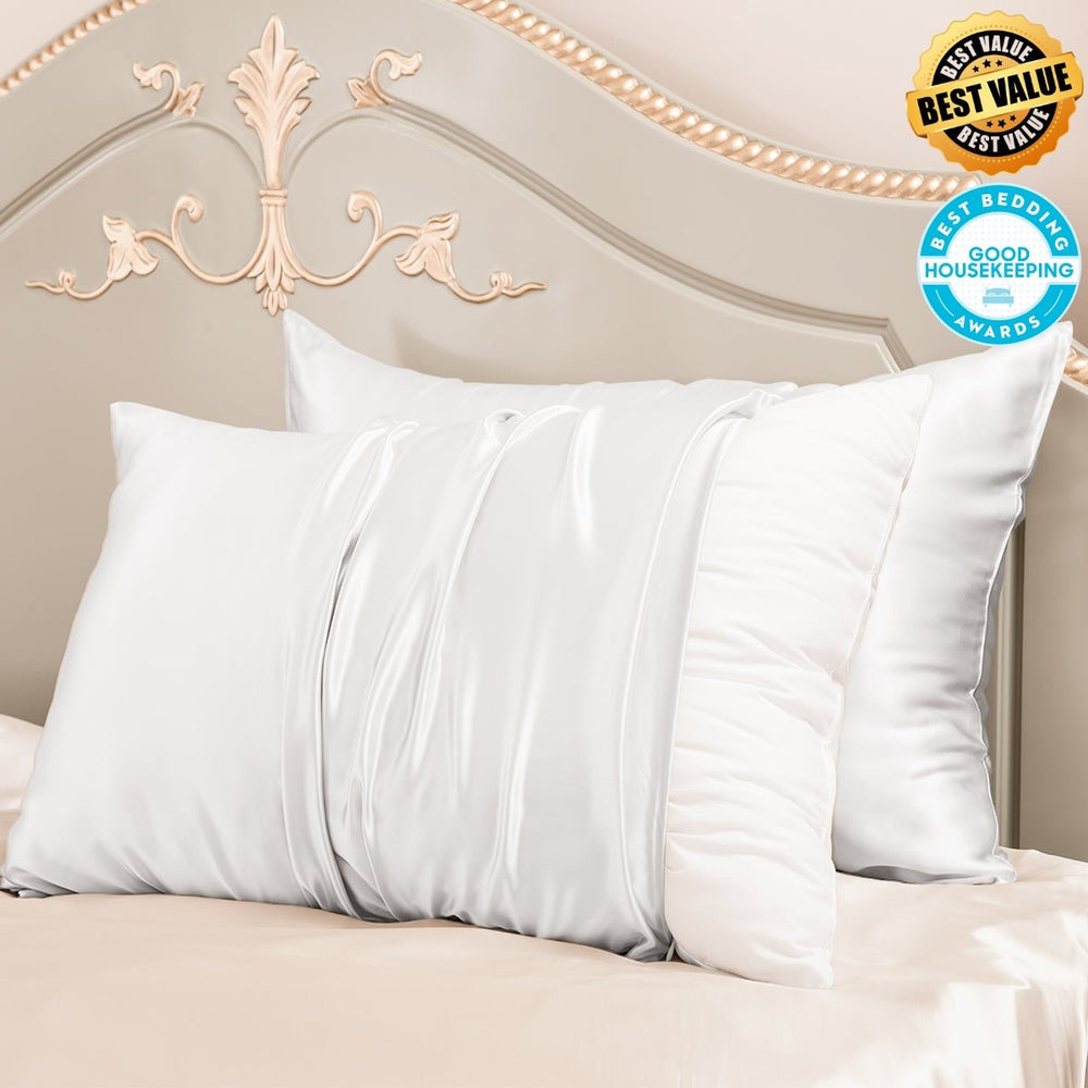 23mm 6A+ Zipper Mulberry Silk Pillowcases (Pack of 2) - From Where Finds - 