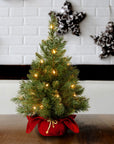 24in Pre - Lit Majestic Fir Mini Christmas Tree - From Where Finds - 