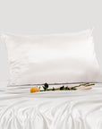 25mm 6A+ Mulberry Silk Pillowcase With Zipper - From Where Finds - 