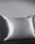 25mm 6A+ Mulberry Silk Pillowcase With Zipper - From Where Finds - 