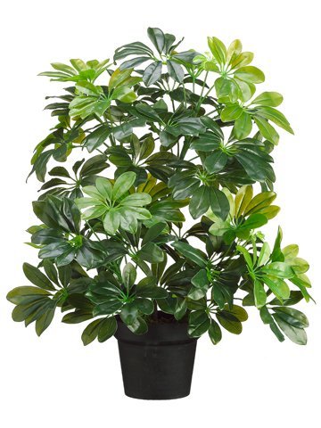 26" EVA Schefflera Plant in Pot Green (Pack of 2) - From Where - 