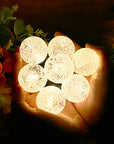 35ft Globe Outdoor String Lights - From Where - 