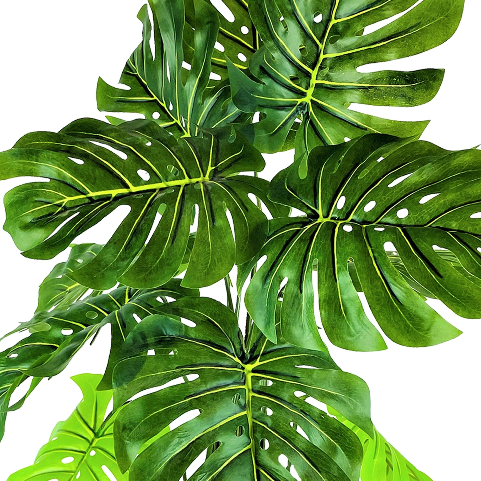 36" Artificial Monstera Plant in White Planter - From Where - 