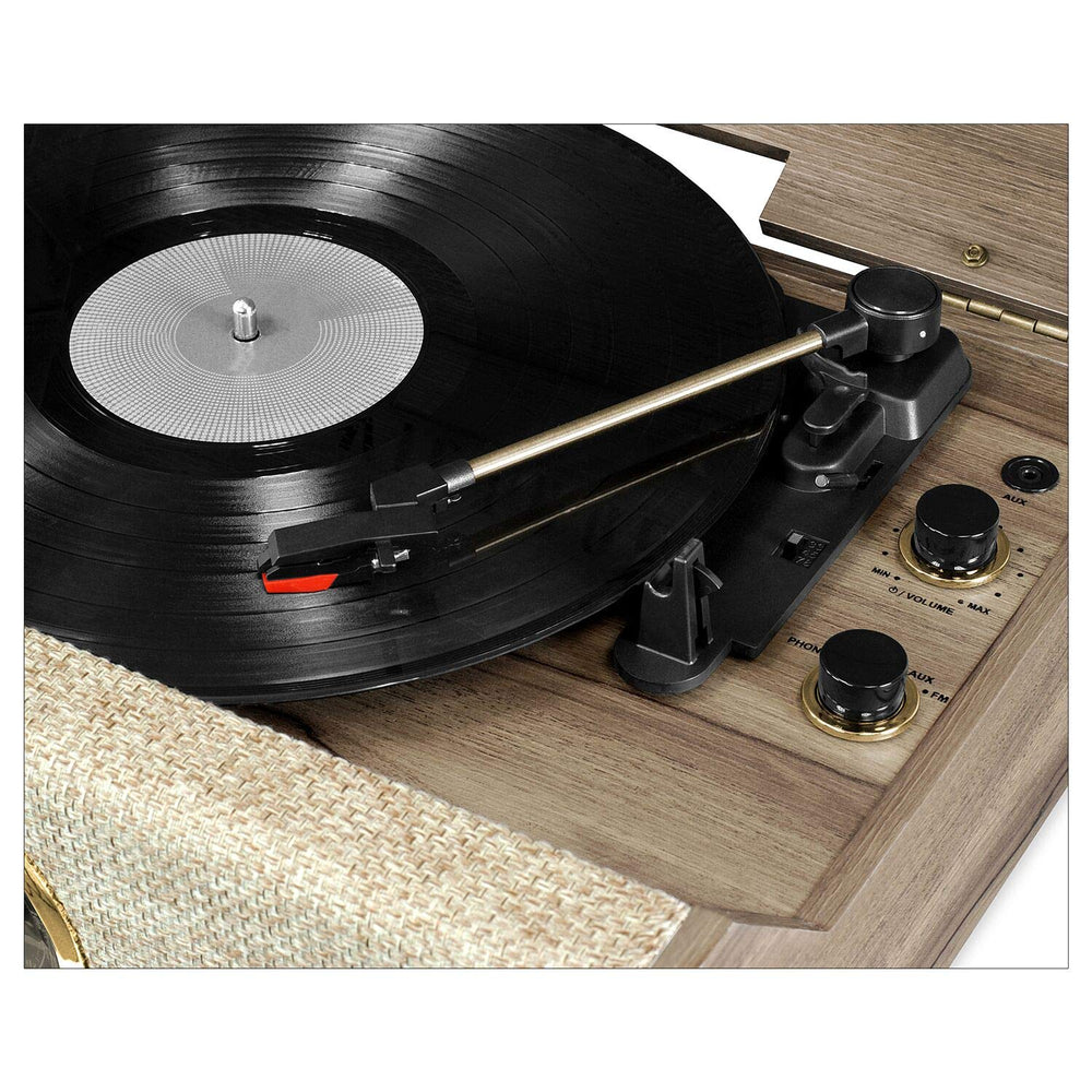 4 - in - 1 Vinyl Record Player with Speakers - From Where - 
