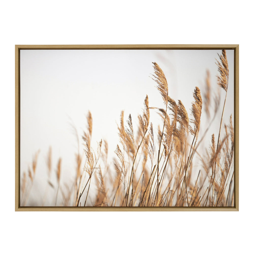 Marsh Grass No 4 Framed Canvas Wall Art