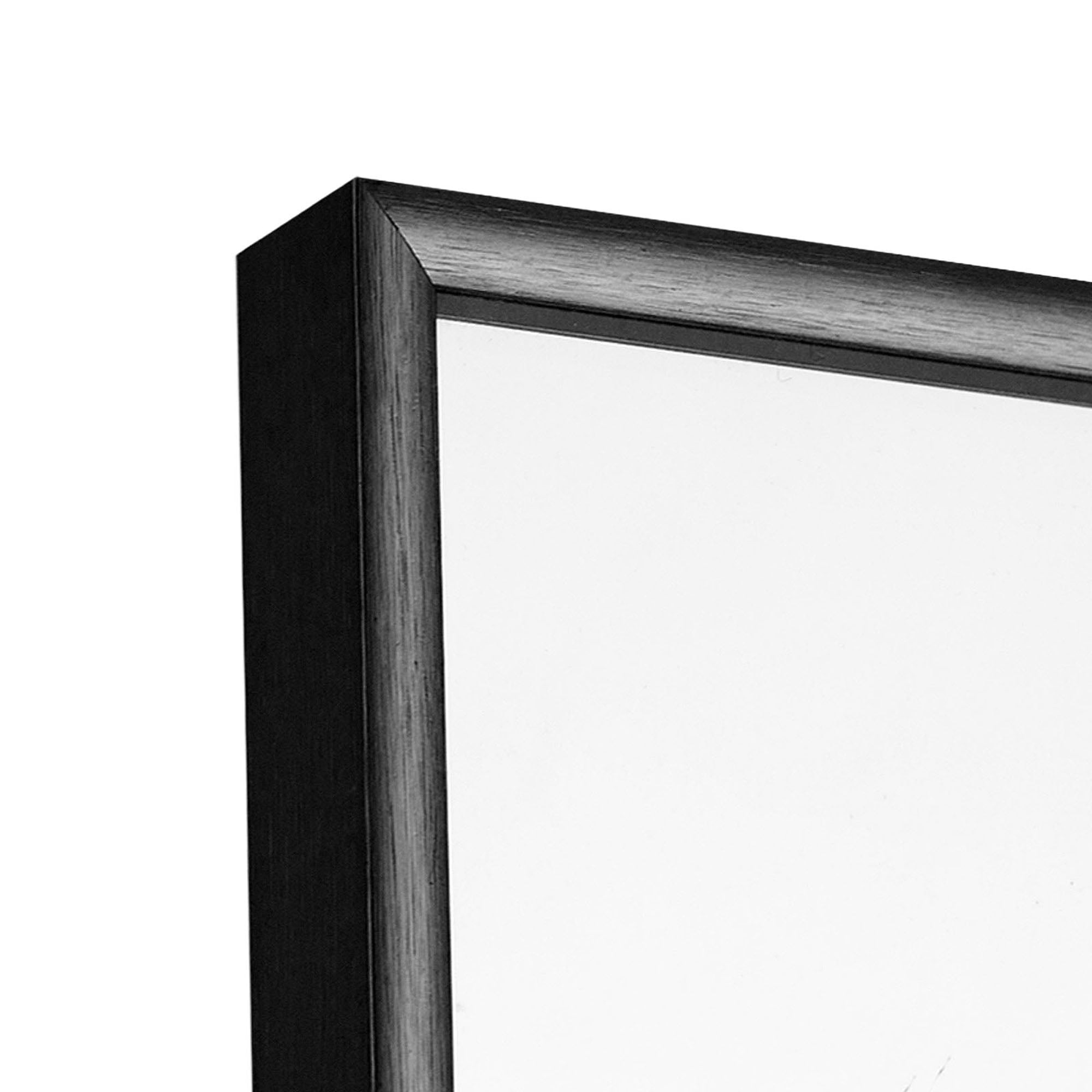 POSHIONS 71&quot;x28&quot; Full Length Mirrors Rectangle Floor Mirrors for Dressing, Modern, Black