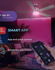 52 - in Smart Ceiling Fan with Light and Remote - From Where - 
