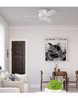 52 - in White Flush Mount Ceiling Fan - From Where - 