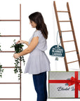 6 - Tier Wall Leaning Blanket Ladder - From Where - 