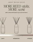 Reed Diffuser Set