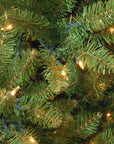6.5ft Pre - Lit Downswept Douglas Fir Tree - From Where Finds - 