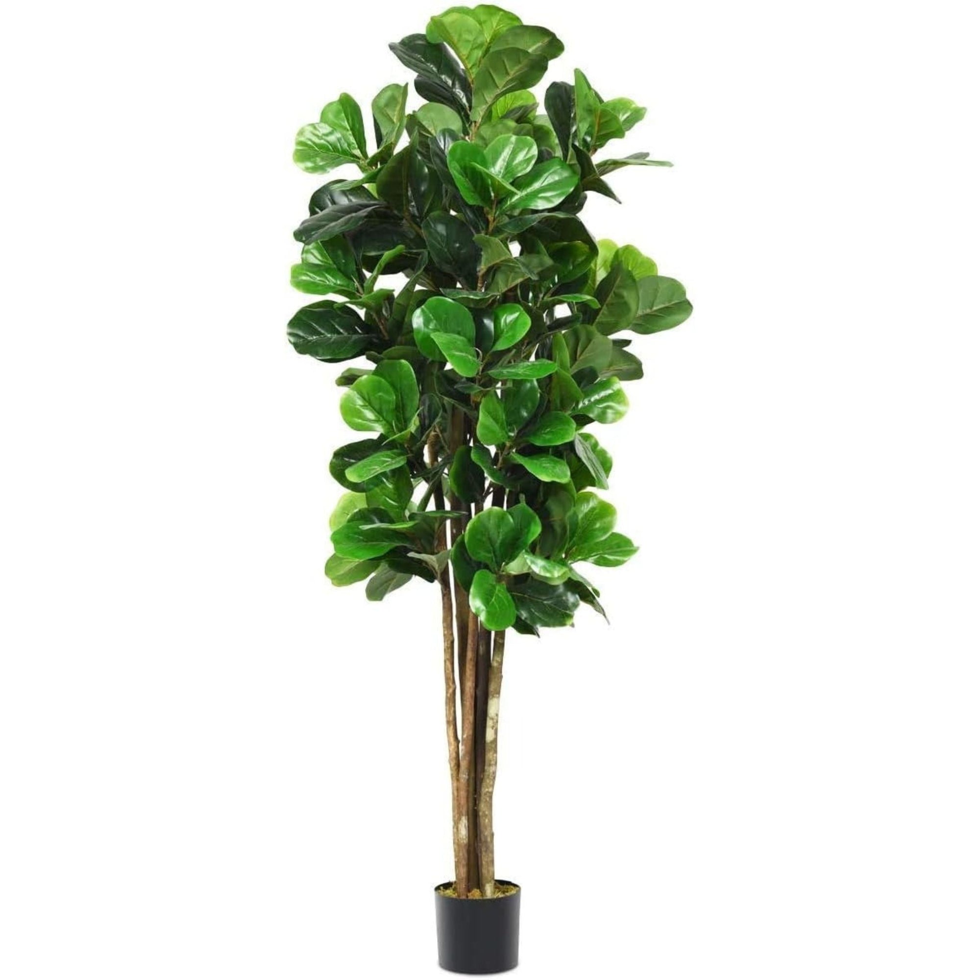 6FT Artificial Fiddle Leaf Fig Tree in Pot - From Where - 