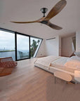 70 inch Large Ceiling Fan - From Where - 