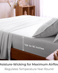 Mellanni King Sheets (Set of 4)