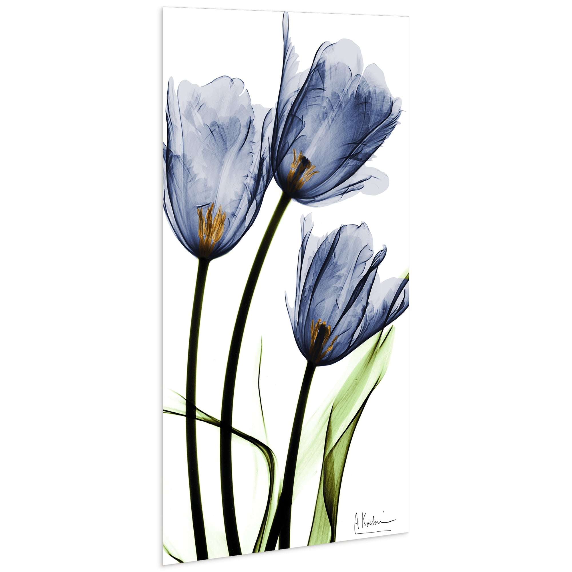 Flower 24 in x 48 in Painting Art Prints, by Empire Art