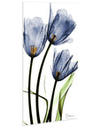 Flower 24 in x 48 in Painting Art Prints, by Empire Art
