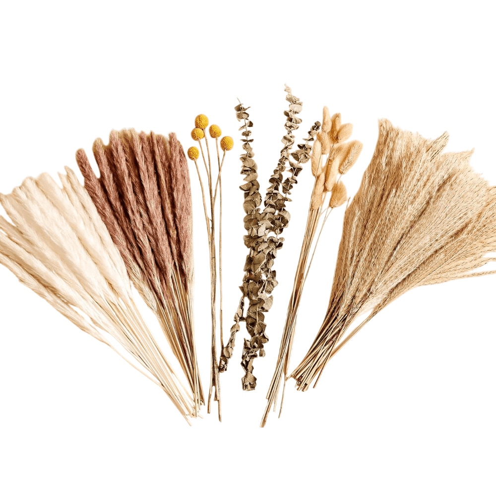 78Pcs Natural Dried Pampas Grass Bouquet - From Where - 