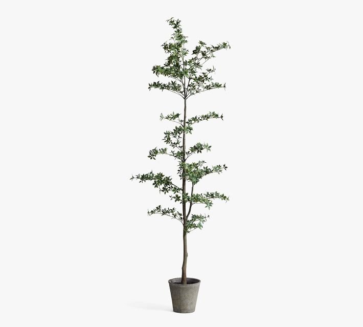 7'H Faux Black Olive Tree - From Where - 