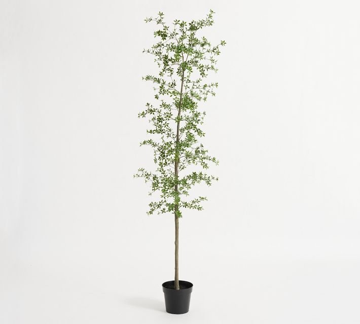 7'H Faux Black Olive Tree - From Where - 