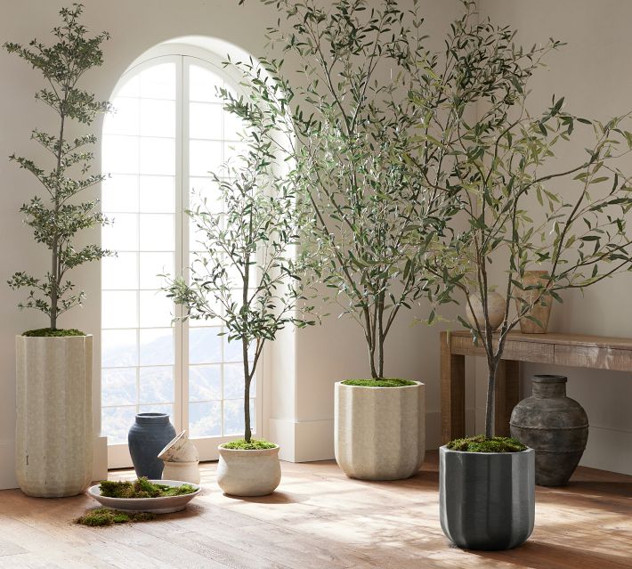 7'H Faux Black Olive Tree - From Where - 