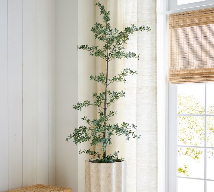 7'H Faux Black Olive Tree - From Where - 