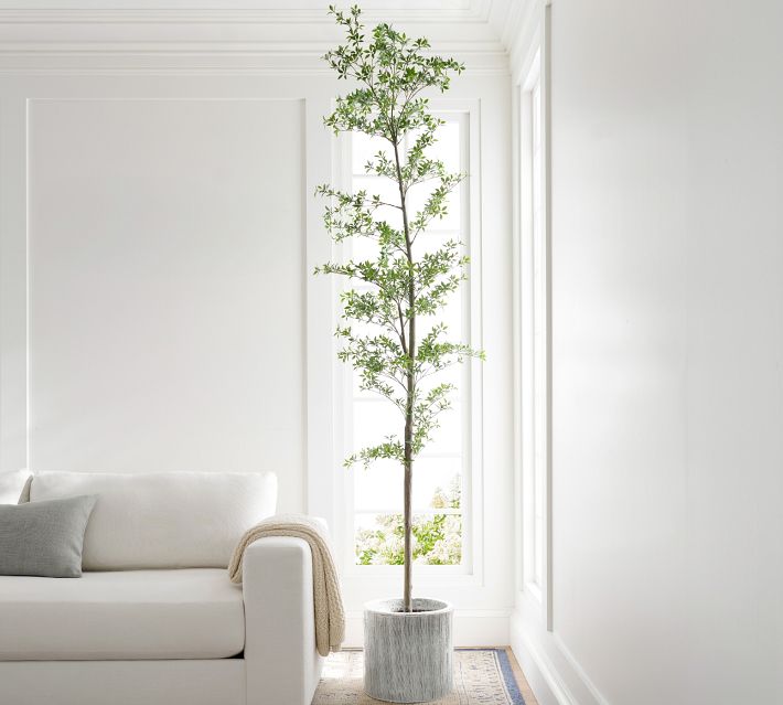 7'H Faux Black Olive Tree - From Where - 